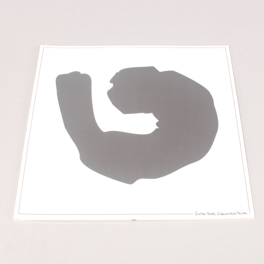 ESGR Vejen Hjem/Vejen Ud Vinyl Album