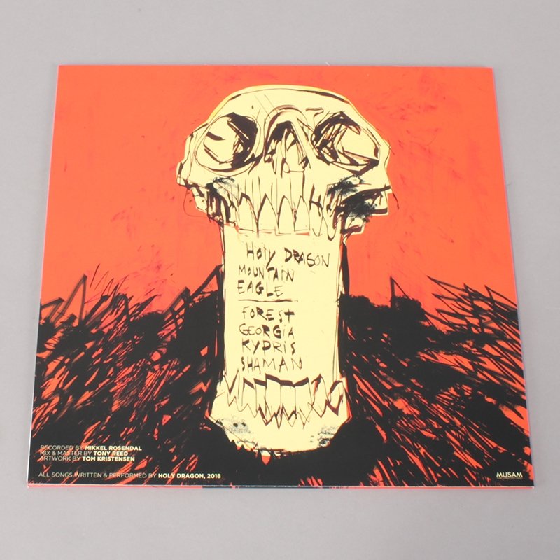 Holy Dragon Vinyl Album