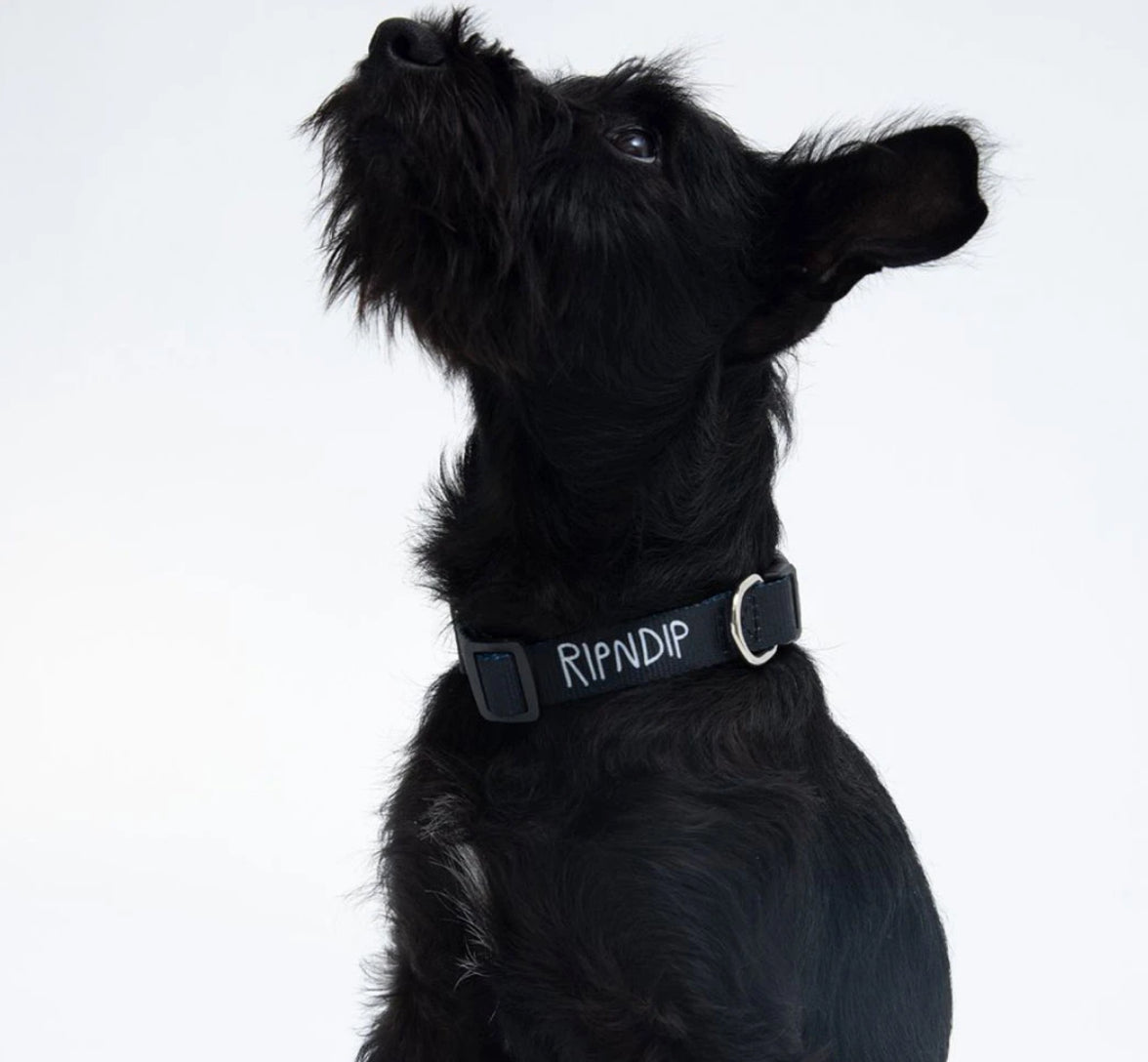 Rip N Dip Pet Collar - Black
