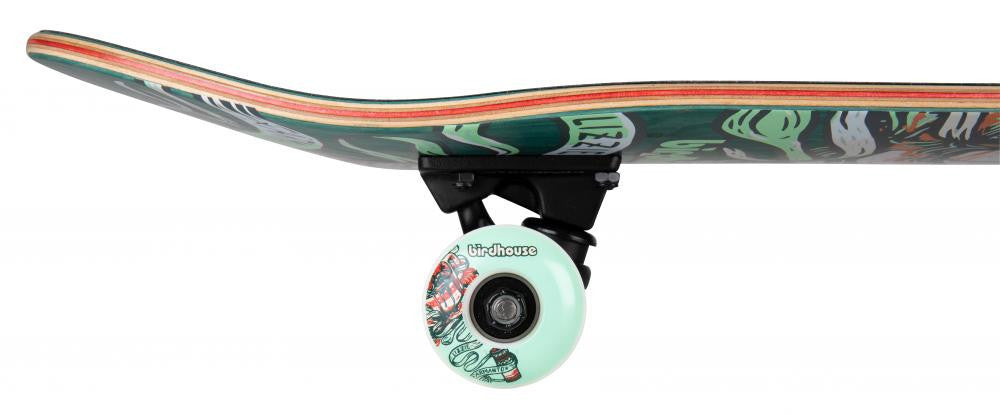 Birdhouse Armanto Favorites  Complete Skateboard