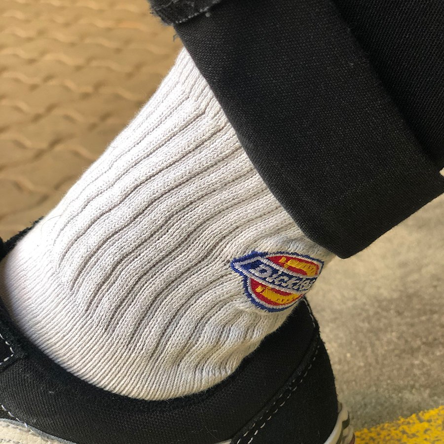 Dickies 3 Pack Valley Grove Socks - White